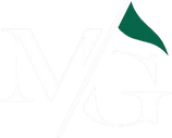 Member Guest